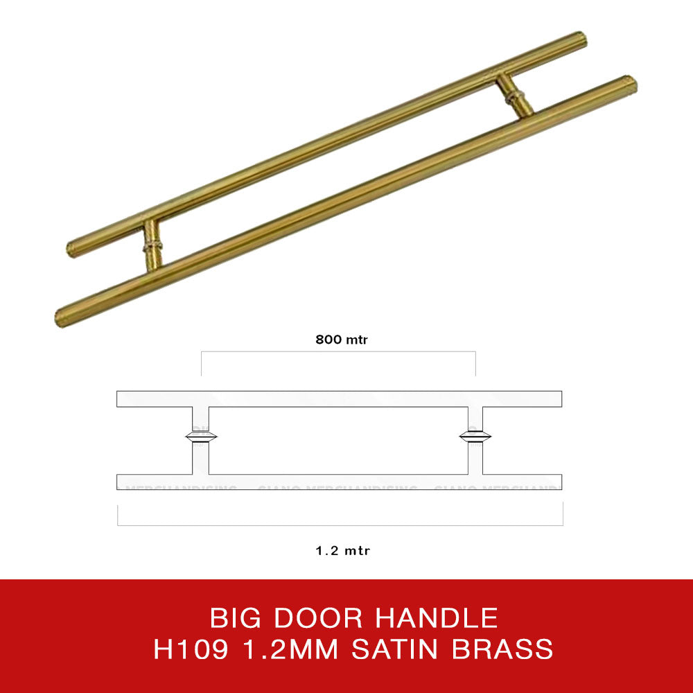 Big Door Handle H109