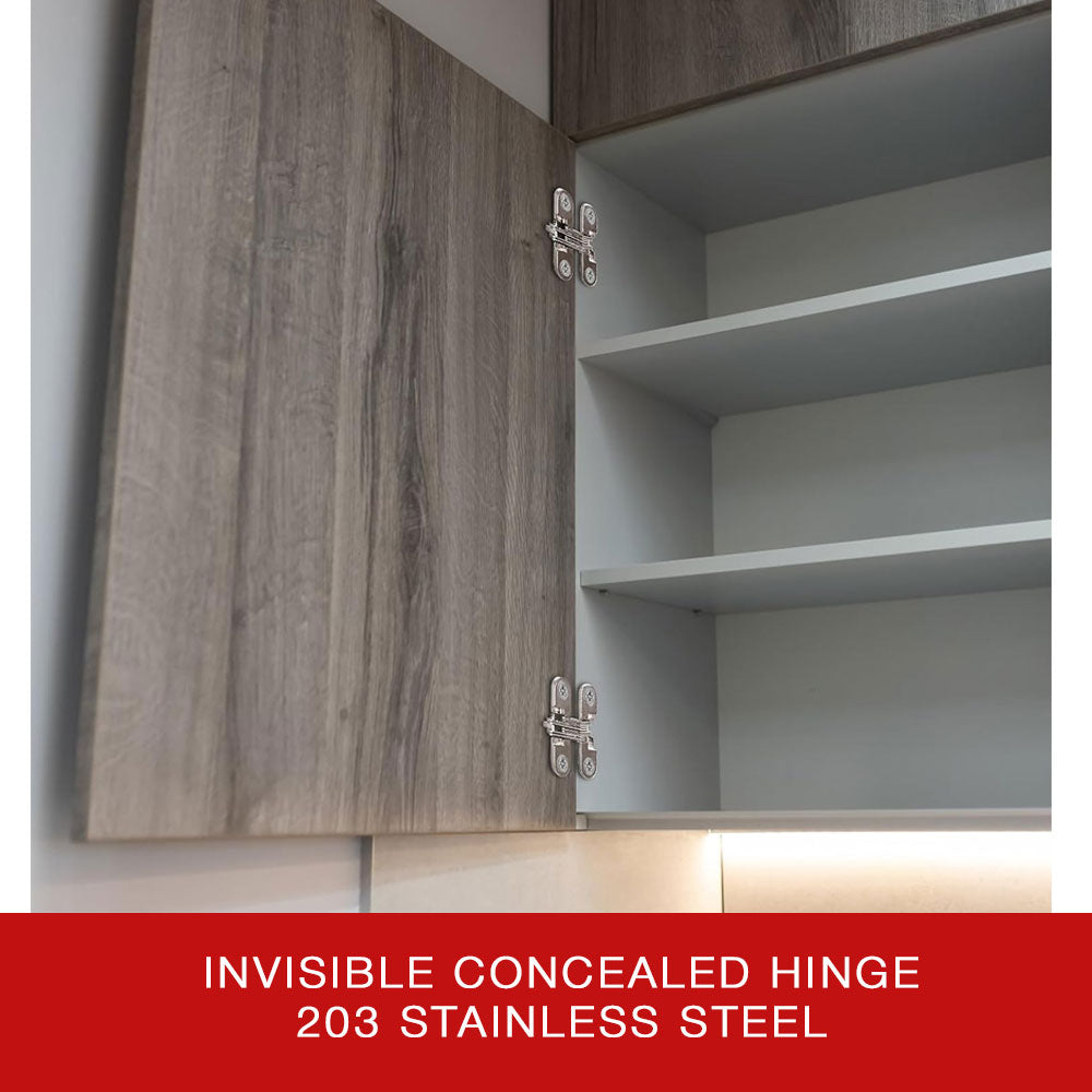 Invisible Concealed Hinge 203