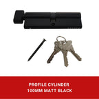 Profile Cylinder (100mm)