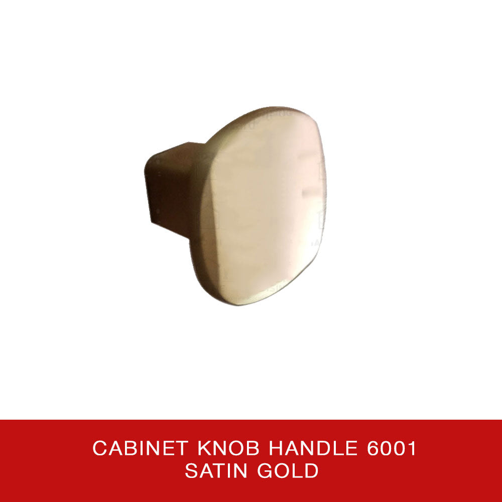 Cabinet Knob Handle 6001 SG